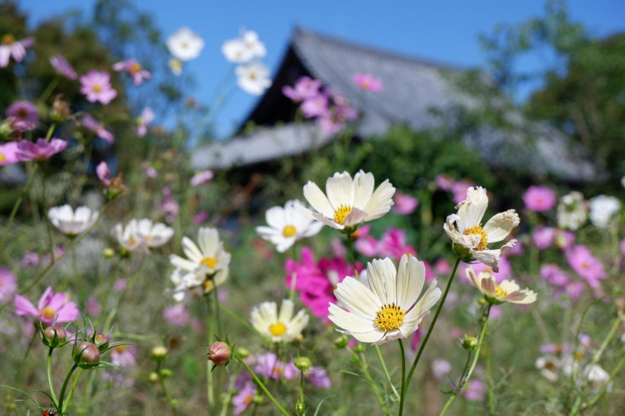 Noborioji Hotel Nara Buitenkant foto